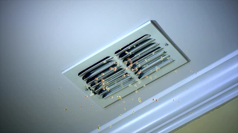 Best Emergency Air Duct Cleaning  in Bowmanstown, PA